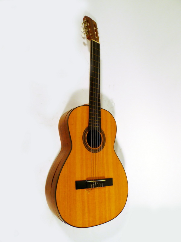 funda guitarra cuadros azul 100x39x10 contiene guitarra rota (12eu.) 1u